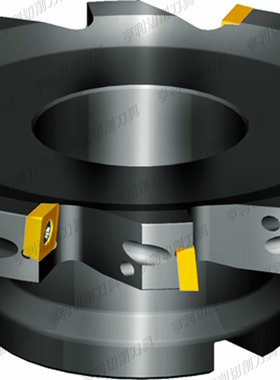 正品株洲可转位三面刃铣削刀盘SMP03-200*18-C40-MP12-14