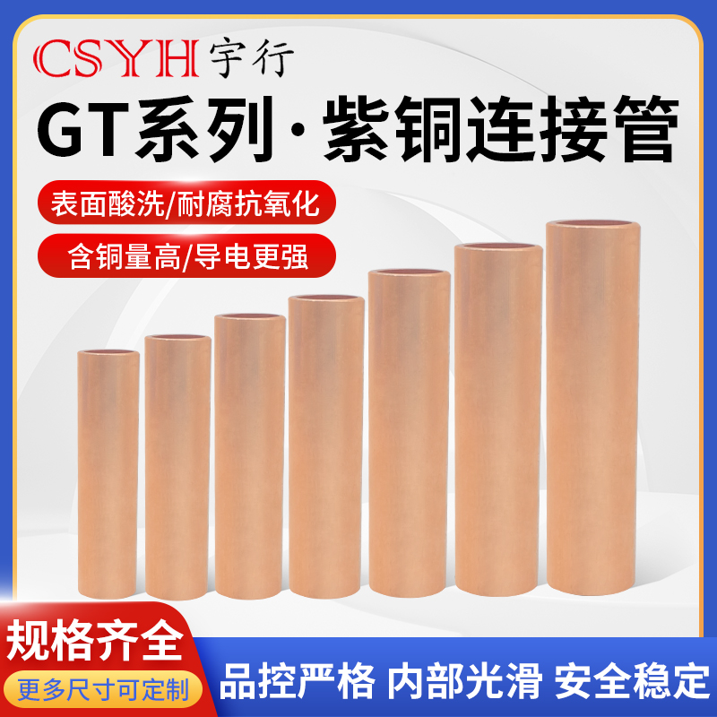 CSYH接线端子镀锡和本色铜鼻子GT
