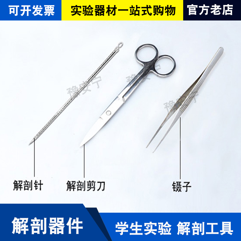 解剖针解剖剪直剪生物解剖仪器不锈钢标本制作圆头镊子尖头镊子