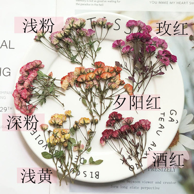 小玫瑰干花植物标本滴胶手机