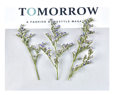 情人草干花压花diy美甲贺卡