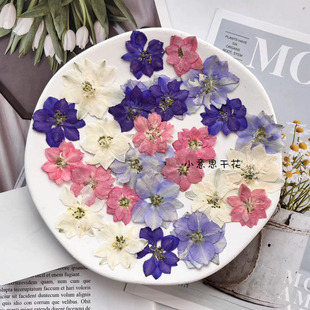 飞燕花 千鸟花 滴胶干花压花真花手机壳 diy手工押花植物标本12朵