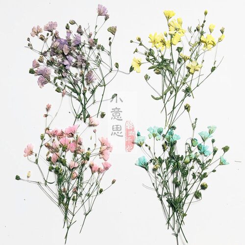 霞草 满天星葭草干花押花压花 滴胶手机壳香薰蜡片贺卡装饰花材料