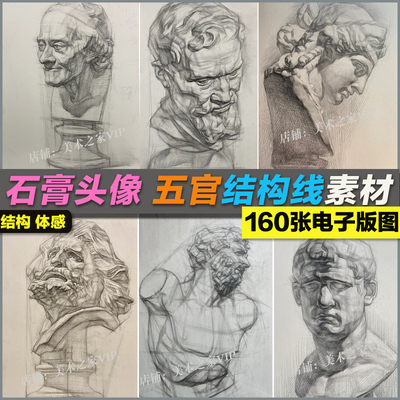 石膏头像人物五官结构线稿透视线美术生联考校考范画临摹绘画图片