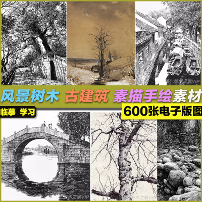 风景树木古建筑素描绘画临摹速写钢笔画铅笔画写实手绘图片素材