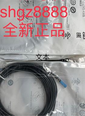议价1070853 RZT7-03ZRS-KWB德国SICK西克T型槽缸传器