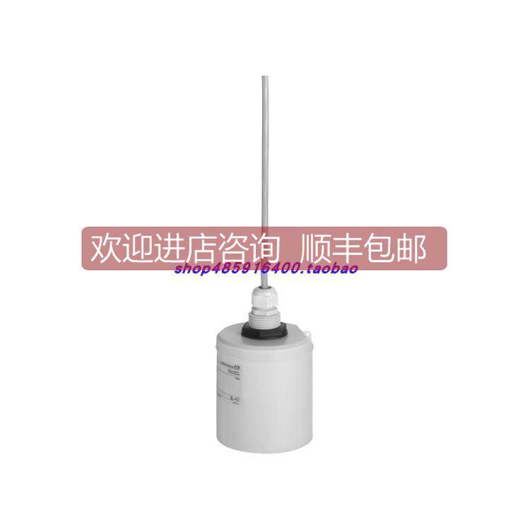 议价ENDRESS+HAUSER E+H 恩德斯豪斯 声波探头FDU92-RG2A