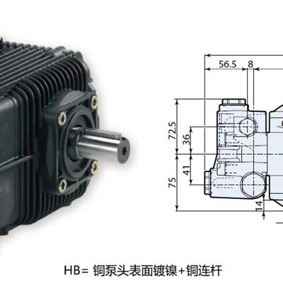 议价意大利ANNOVI REVERBERI高压柱塞泵SXW21.35 COD.2871