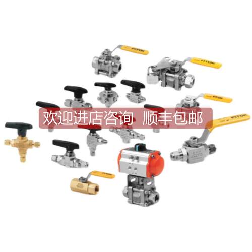 询价FIT 飞托克 球阀 BGSS-FNS6-13库存