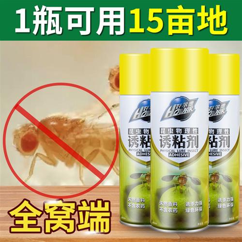 瓜果实蝇诱粘剂昆虫果蝇药特粘黄板双面粘虫板针蜂引诱剂诱捕神器
