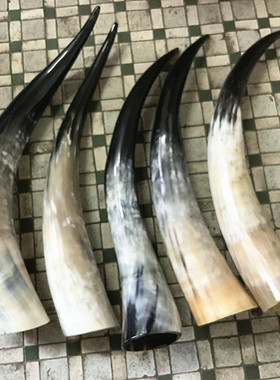 包邮特价品牌非洲牛角闪电发货