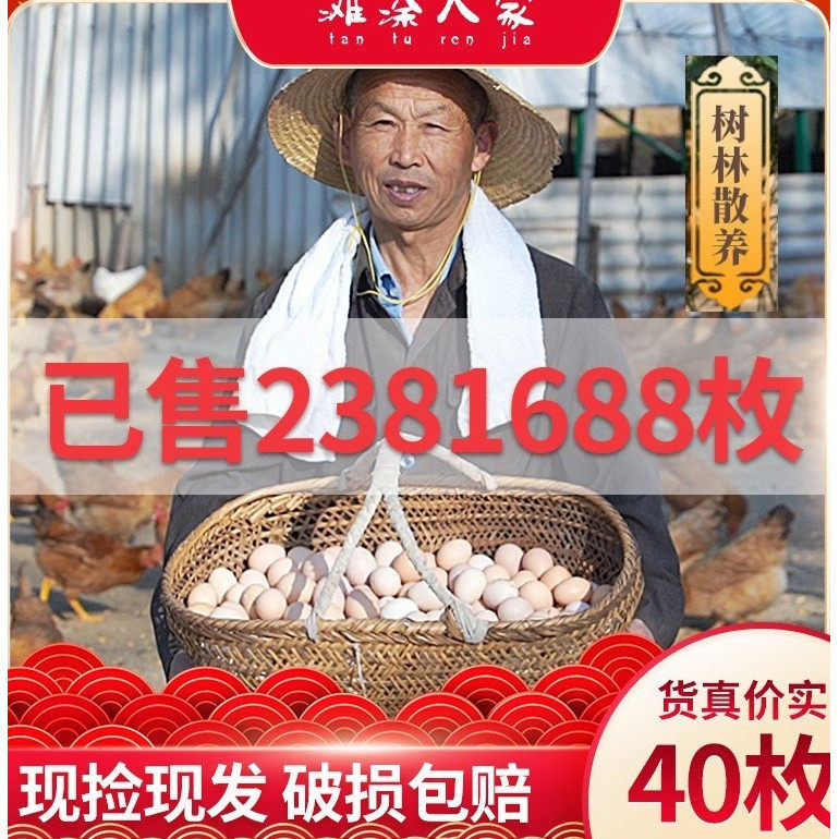 大别山脉淮河岸林正宗散养农家天然40枚草鸡蛋土鸡蛋笨鸡蛋柴鸡蛋 - 实物图