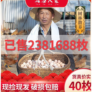 大别山脉淮河岸林正宗散养农家天然40枚草鸡蛋土鸡蛋笨鸡蛋柴鸡蛋