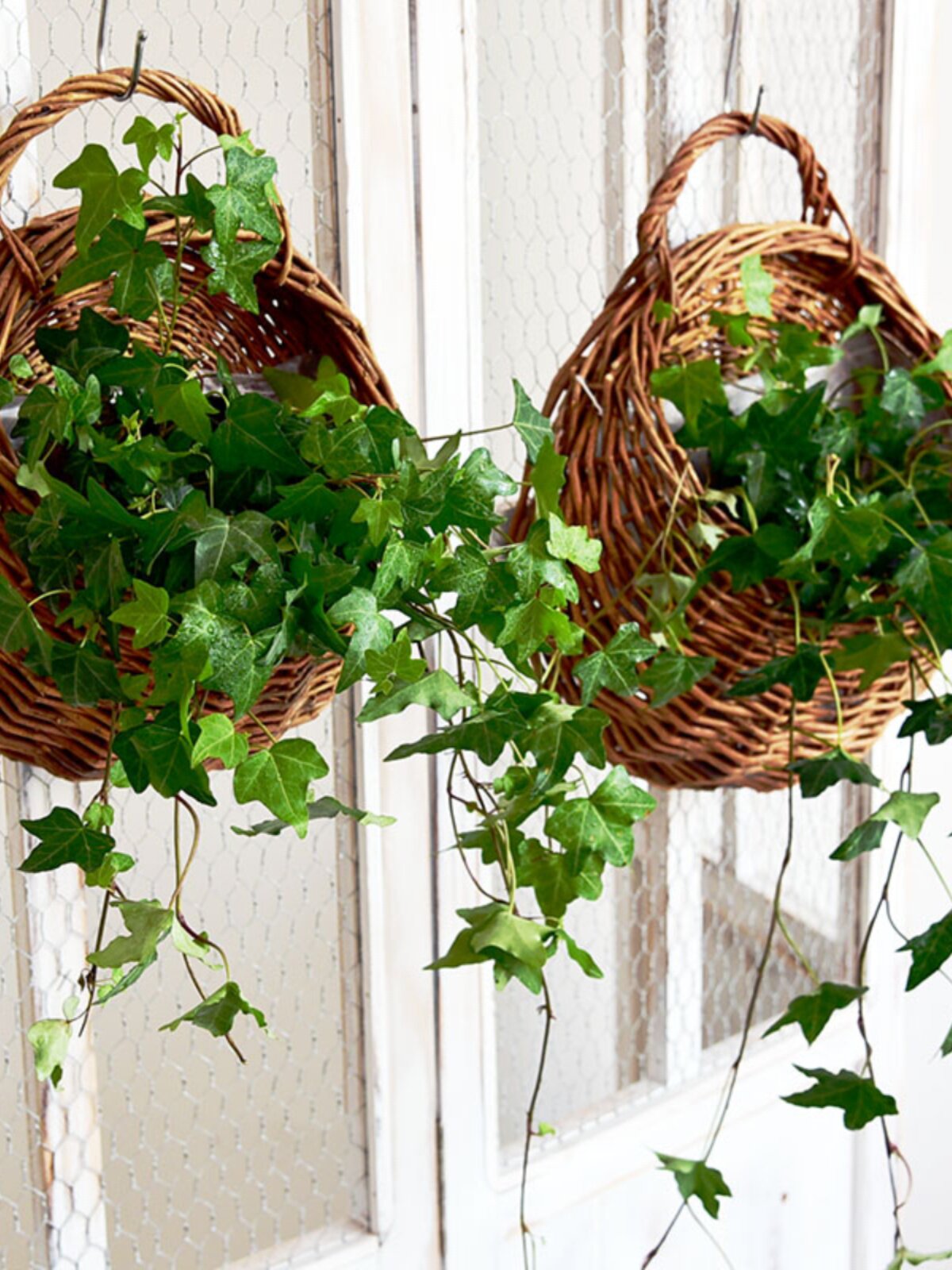 짠 화분 벽걸이 대나무 바구니 벽걸이 꽃바구니 발코니 등나무 걸이 난초 대나무 바구니 대나무 바구니