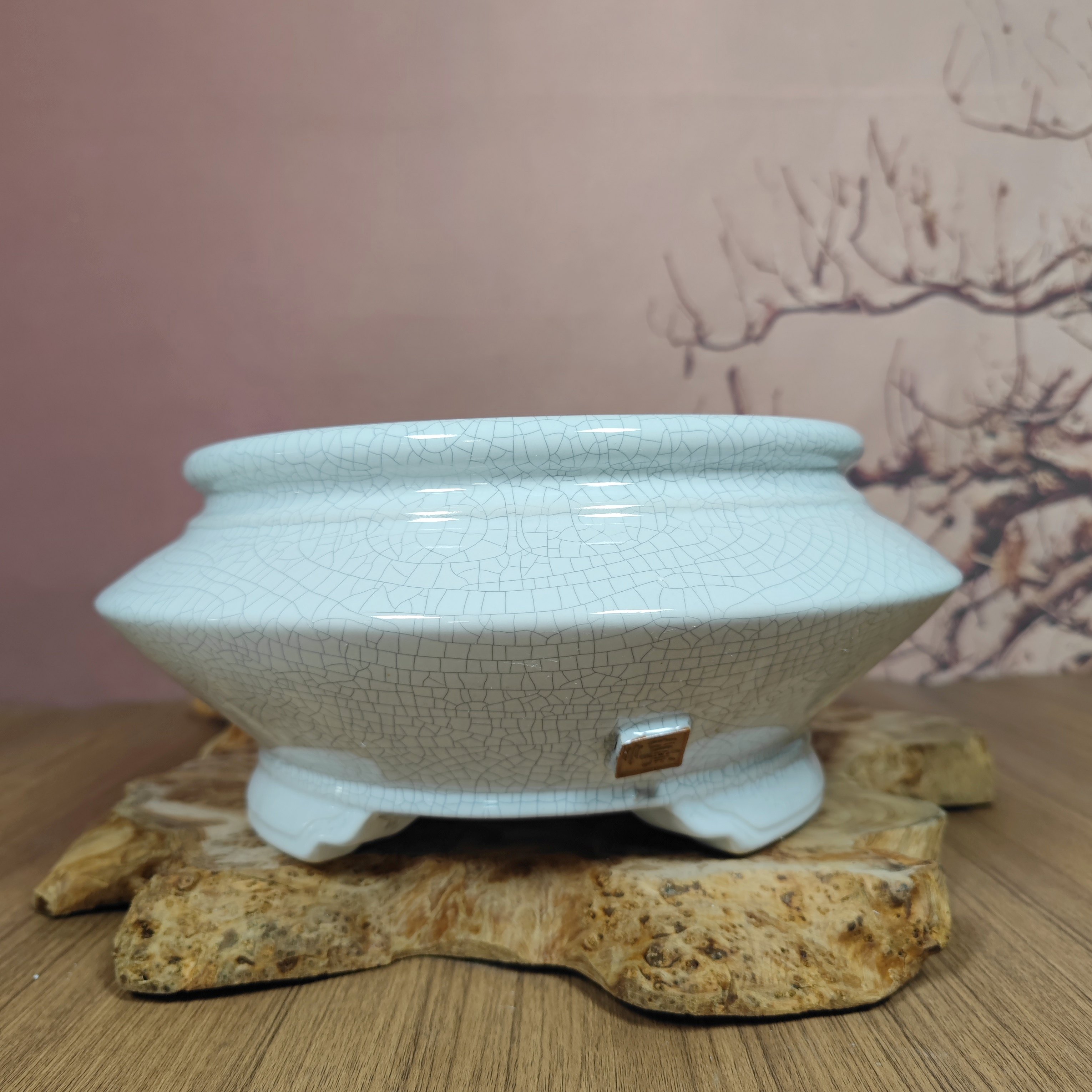 新款裂纹飞碟圆型方型陶瓷盆景花盆澳洲杉黄扬绿植多肉老桩花盆