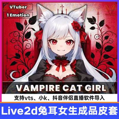 live2d虚拟主伴播成品猫女耳生半身皮套vts小K抖音直播虚拟侣形象