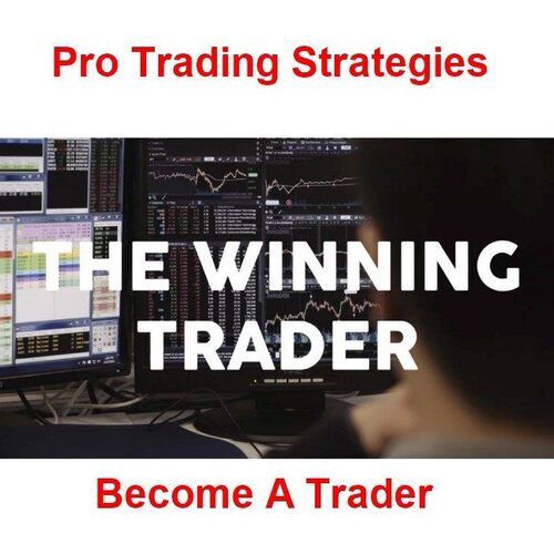 Pro TradinSg Strategis Corse -The Wuinneing Trader-MB, ai