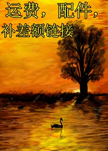 运费，配件，补差额链接玩具