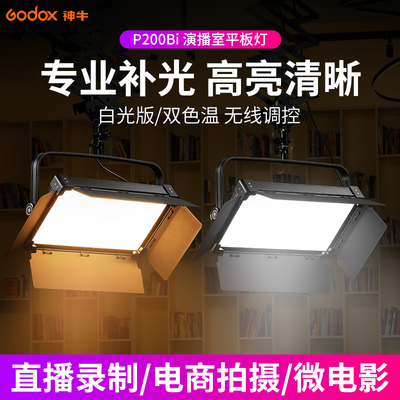 神牛诺力P200Bi冷暖双色温补光灯