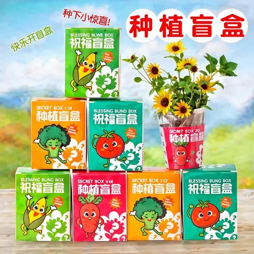 桌面迷你小盆栽盲盒绿植