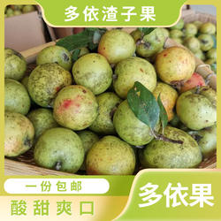 云南多依果临沧普洱澜沧民族地方特产野生酸渣子苹泡水果傣味孕妇