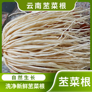 云南新鲜苤菜根苗佤族傣味特产大韭撇野腌制下饭牛皮鸡爪凉拌炒肉