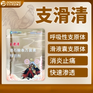 东东支滑清滑液囊支原体关节肿大