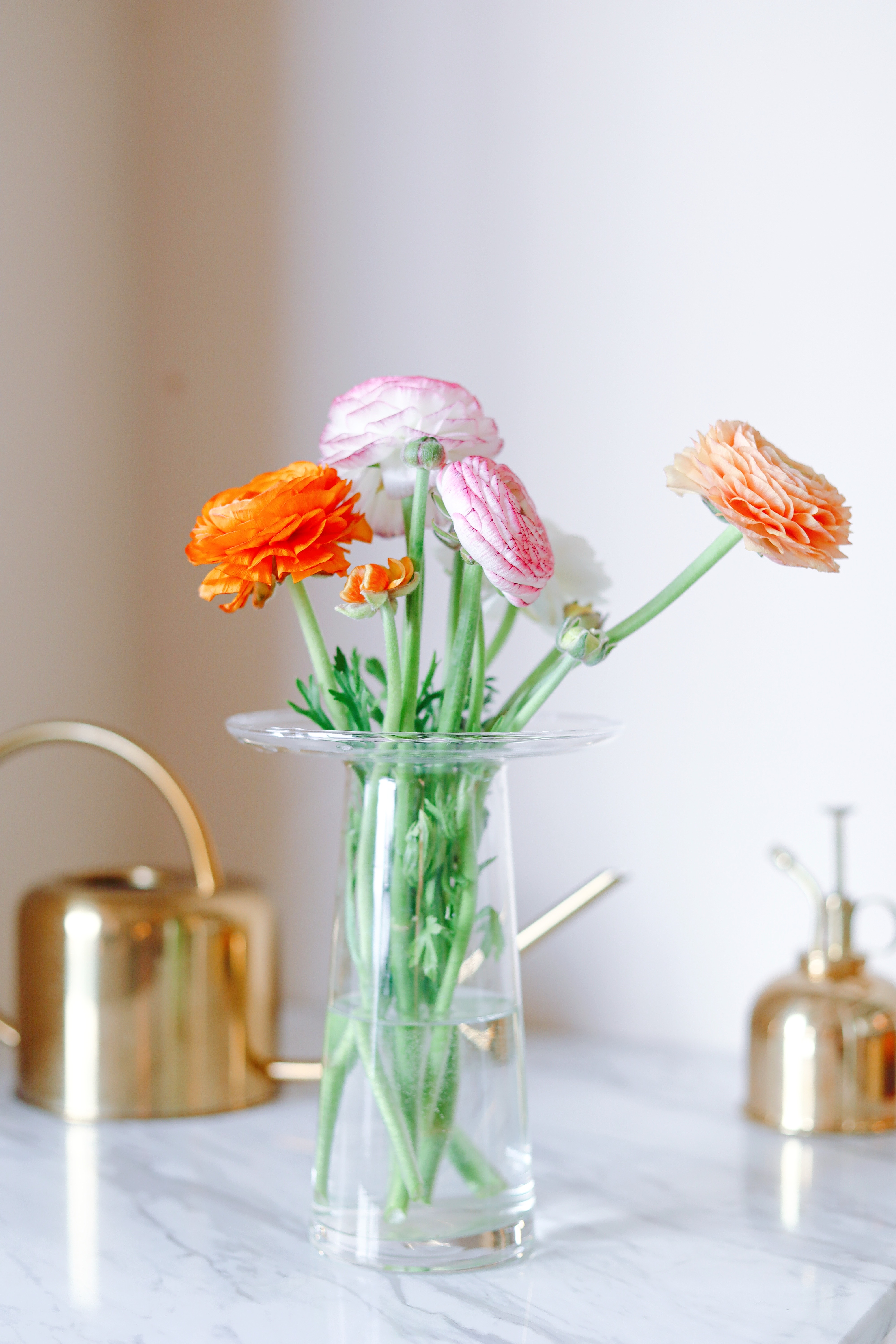 花瓶水仙花价格 花瓶水仙花图片 星期三