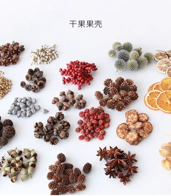 天然果壳松果柠檬桂皮干花干果组合圣诞装幼儿园装饰摆件复古道具