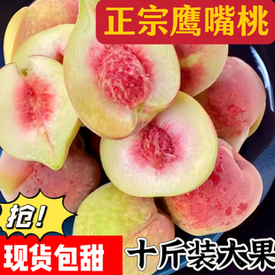正宗鹰嘴桃大果爽脆甜桃子硬桃广东连平现摘寻乌赣南新鲜水果10斤