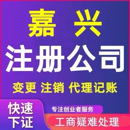 嘉兴平湖市个体电商企业公司注册营业执照代办注销变更解除异常