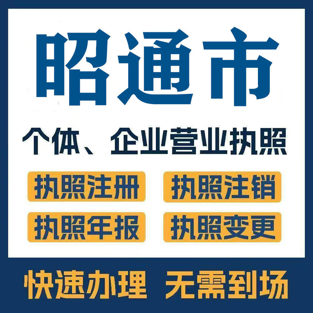 昭通市彝良永善盐津镇雄公司注册电商执照个体办理工商变更注销 - 实物图