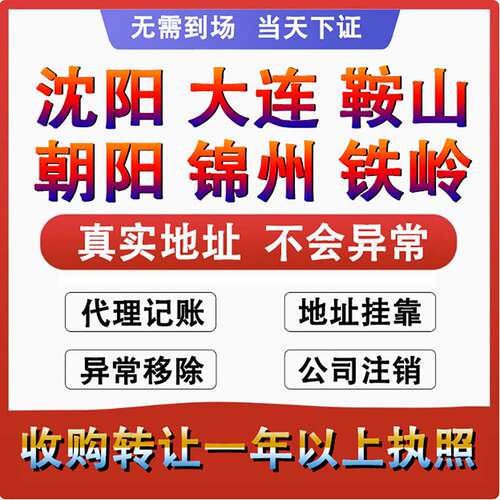 辽宁沈阳个体工商户营业执照代办理公司注册销转让核定征收申年报