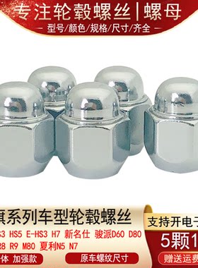 适用森雅R7 R8 R9 M80 夏利N5 N7 一汽威志轮胎螺丝帽轮毂螺母
