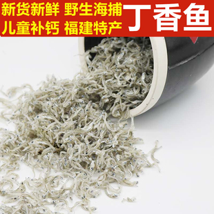 福建特产丁香鱼干货新鲜小鱼干小银鱼干海鱼咸鱼海鲜海货干货