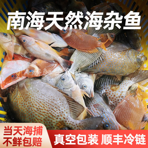 广东4斤装海杂鱼去内脏新鲜冷冻小杂鱼深海真空冰冻海鱼海鲜水产