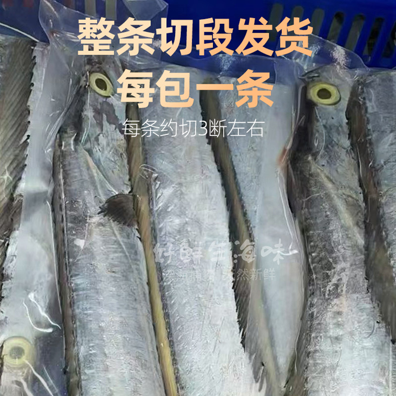 广东南海带鱼新鲜整条切断冷冻