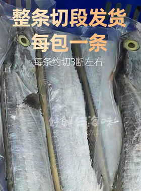 广东南海带鱼新鲜整条切断冷冻