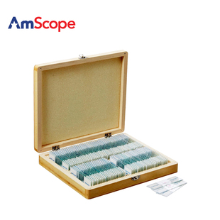 AmScope 100片家庭学校生物学准备显微镜幻灯片 -E