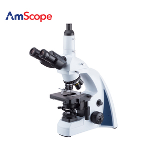 复合生物显微镜带有LED照明和五联件 1000X 40X AmScope