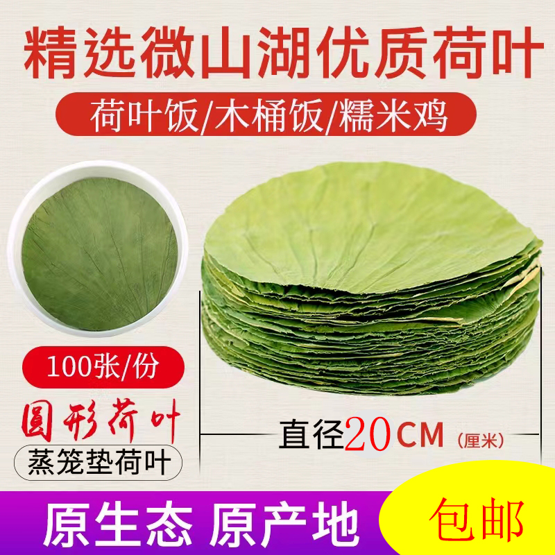 微山湖新鲜天然整张20厘米干荷叶