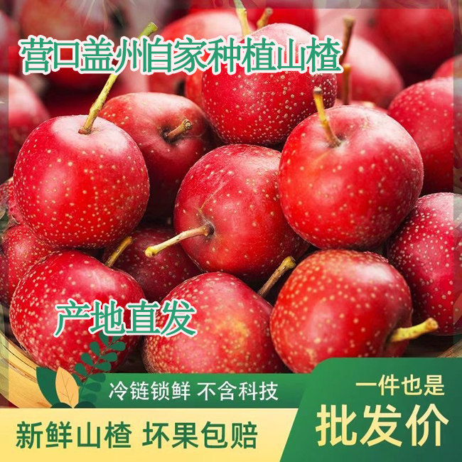 东北山楂新鲜水果开胃水果山楂果