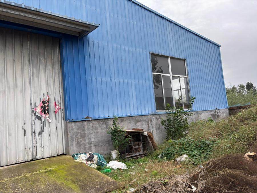 2月18日烟台自建大棚网络拍卖公告