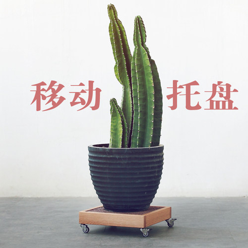 可移动简约实木文艺花架