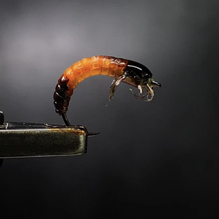 Y281北京飞钓路亚微物若虫幼虫鳟鱼飞蝇钩仿生鱼饵鱼卵饵溪流马口