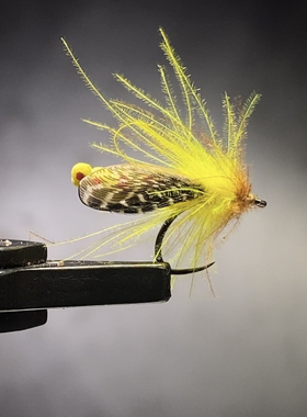 Y153北京路亚石蚕蛾飞蝇钩飞钓鳟鱼饵马口套装仿生饵黑坑高压钓场