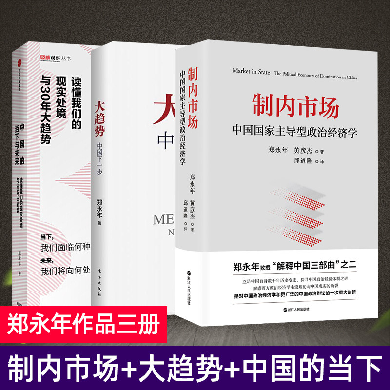 制内市场+大趋势中国下一步+中国的当下与未来 郑永年论中国经济 中国国家主导型政治经济学