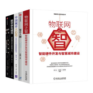 数字孪生城市 新城市危机 陶翠霞 智慧城市系列五册 曾凡太 城市大脑 物联网之智 中国城市大趋势 刘美丽 著