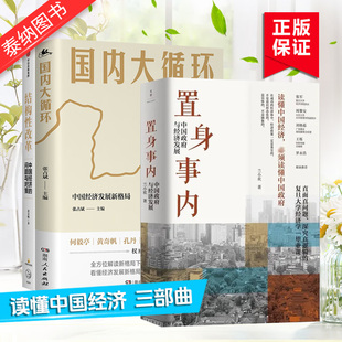 中国政府与经济发展 结构性改革 黄奇帆 置身事内 复旦经院毕业课中国经济发展新格局 国内大循环
