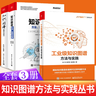 著 知识图谱概念与技术 方法实践与应用 工业级知识图谱方法与实践 肖仰华